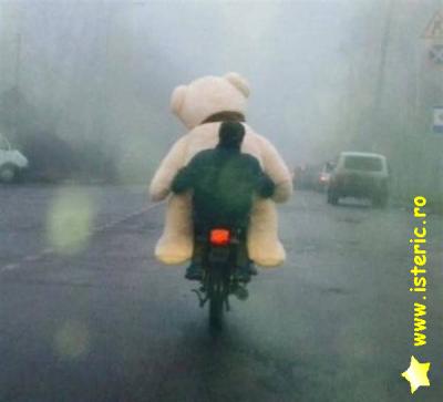 abaa-big-bear-on-a-bicycle.jpg