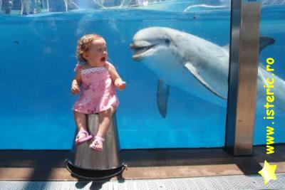 abaa-frightened-child-dolphin.jpg